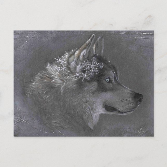 Winter Maker Vykort (Framsida)