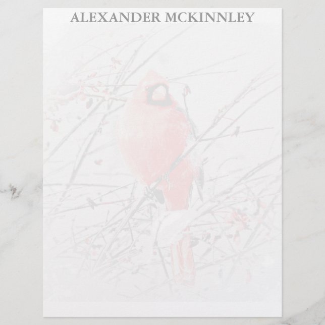 WINTER MALE CARDINAL (Framsida)