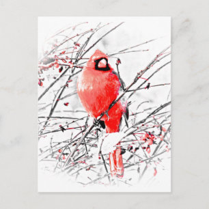 WINTER MALE CARDINAL VYKORT
