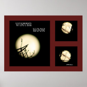Winter Måne Collage Poster