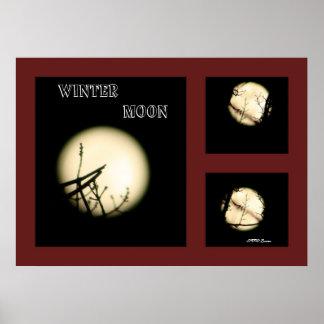 Winter Måne Collage Poster