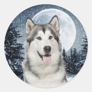 Winter Måne Husky Sticker Runt Klistermärke