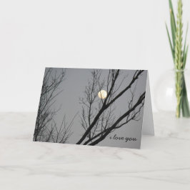 Winter måne, jag kärlek er till måne och tillbaka kort