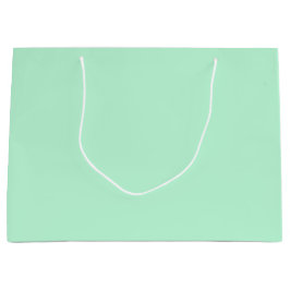 Winter Mint Solid Färg