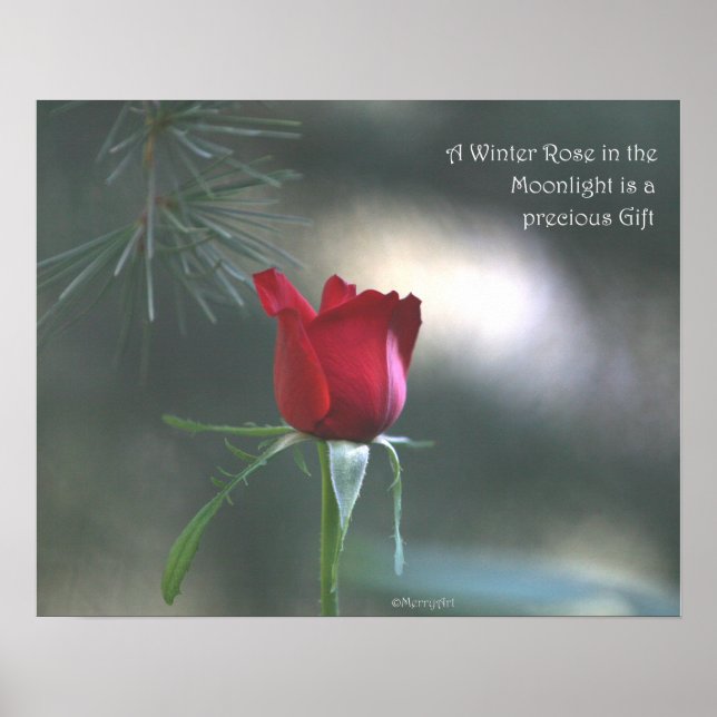 WInter Moonlight Ro Poster: RO & PROSE 20 x 16 Poster (Framsidan)