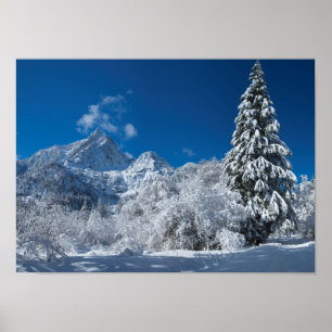 Winter Mountain Wonderland Poster