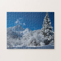 Winter Mountain Wonderland