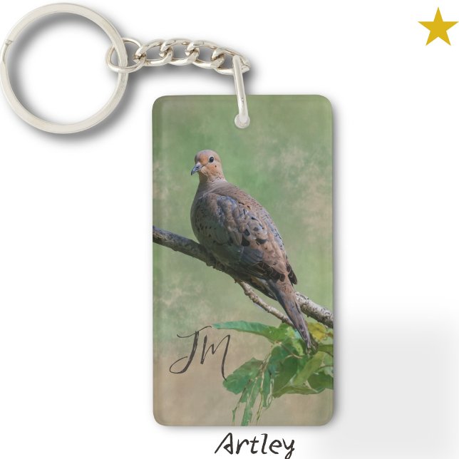 Winter Mourning Dove Bird Painting Initialer (Skapare uppladdad)