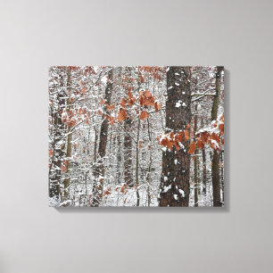 Winter Nature Fotography snö Covered Oak Träd Wint Canvastryck