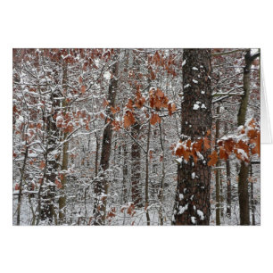 Winter Nature Fotography snö Covered Oak Träd Wint Hälsningskort