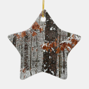 Winter Nature Fotography snö Covered Oak Träd Wint Julgransprydnad Keramik