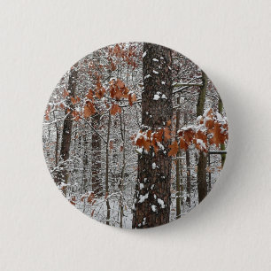 Winter Nature Fotography snö Covered Oak Träd Wint Knapp