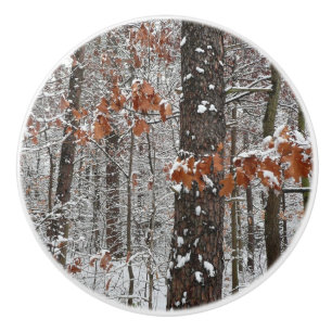 Winter Nature Fotography snö Covered Oak Träd Wint Knopp