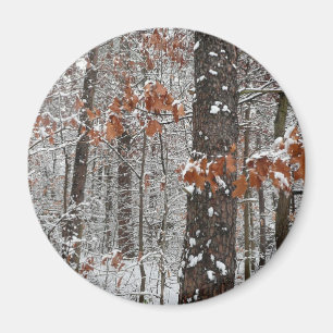 Winter Nature Fotography snö Covered Oak Träd Wint Magnet