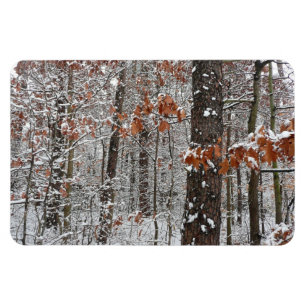 Winter Nature Fotography snö Covered Oak Träd Wint Magnet