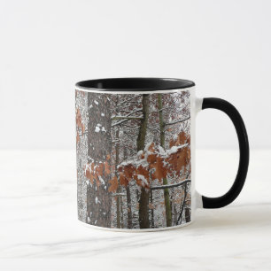 Winter Nature Fotography snö Covered Oak Träd Wint Mugg