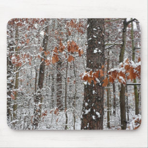 Winter Nature Fotography snö Covered Oak Träd Wint Musmatta
