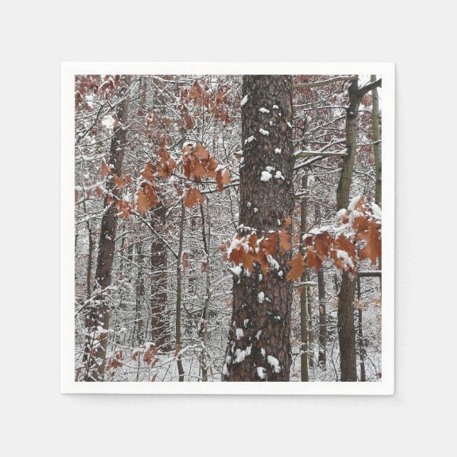 Winter Nature Fotography snö Covered Oak Träd Wint Pappersservett (Framsidan)