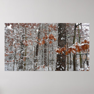 Winter Nature Fotography snö Covered Oak Träd Wint Poster