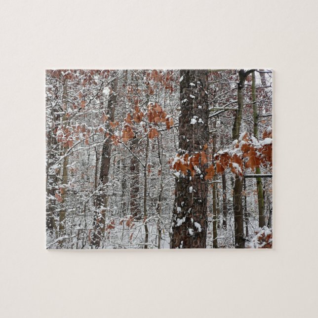Winter Nature Fotography snö Covered Oak Träd Wint Pussel (Horisontell)