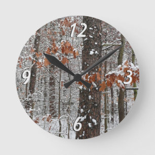 Winter Nature Fotography snö Covered Oak Träd Wint Rund Klocka