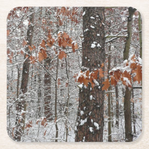 Winter Nature Fotography snö Covered Oak Träd Wint Underlägg Papper Kvadrat