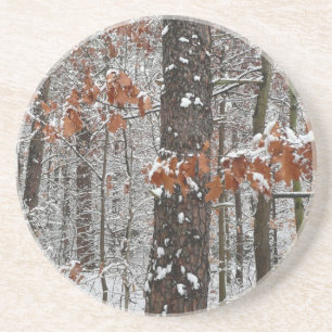 Winter Nature Fotography snö Covered Oak Träd Wint Underlägg Sandsten