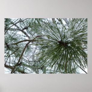 Winter Nature Photography Snowy Gräs Nål Poster