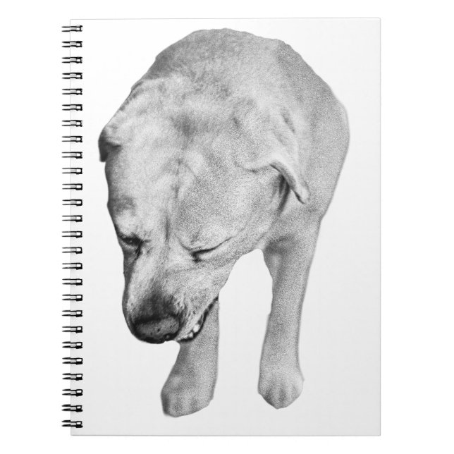 Winter Notes med skuggad Lab Muse Anteckningsbok (Framsidan)