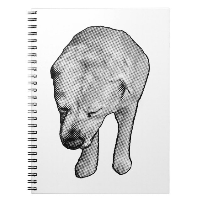 Winter Notes med Specklad Lab Muse Anteckningsbok (Framsidan)