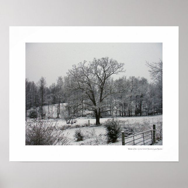 Winter Oak Poster (Framsidan)
