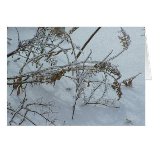 Winter Ogräs Hälsningskort