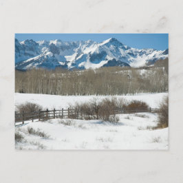 Winter on Dallas Divide Vykort