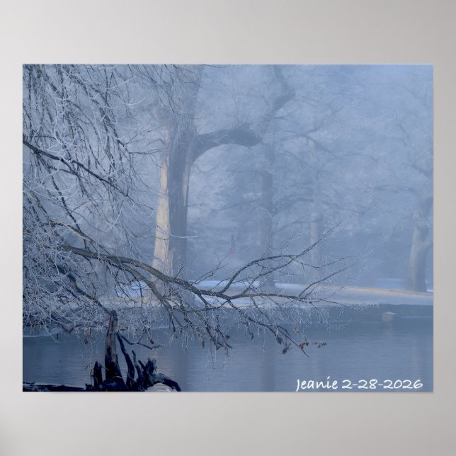 Winter on the Delaware Poster (Framsidan)