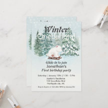 Winter Onederland Första födelsedag Bear på Sleigh