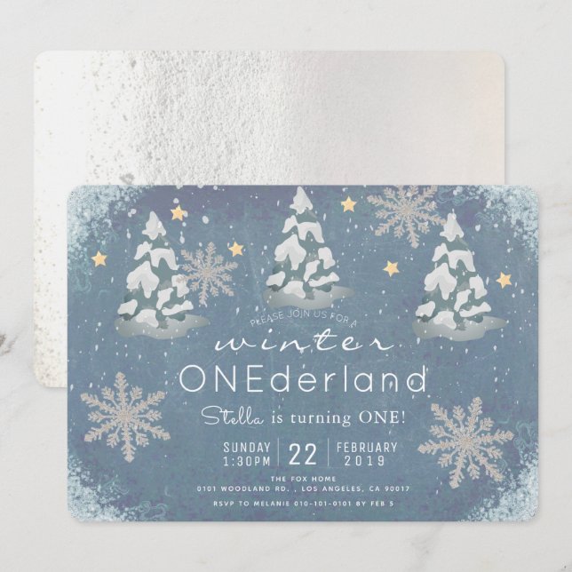 Winter Onederland Silver Snowflake 1:a födelsedage Inbjudningar (Fram/baksida)