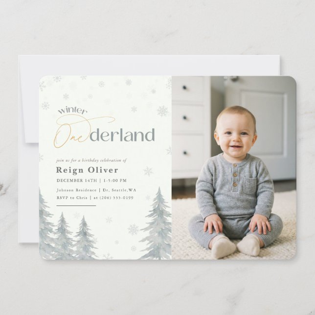 Winter Onederland Silver Snowflake 1st Birthday Inbjudningar (Framsida)