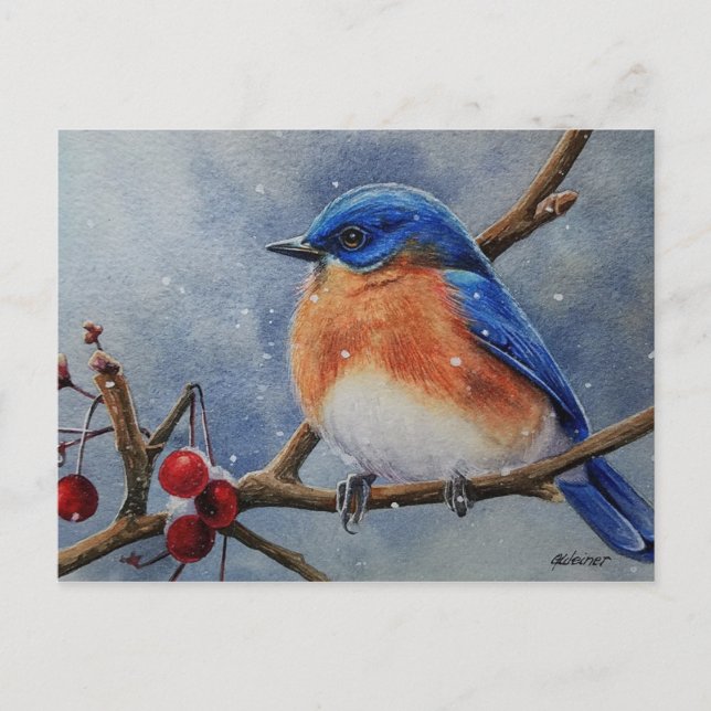 Winter Östra Bluebird & Berries Watercolor Art Vykort (Framsida)