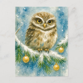 Winter Owl on Snowy Branch Christmas Postcard Helg Vykort