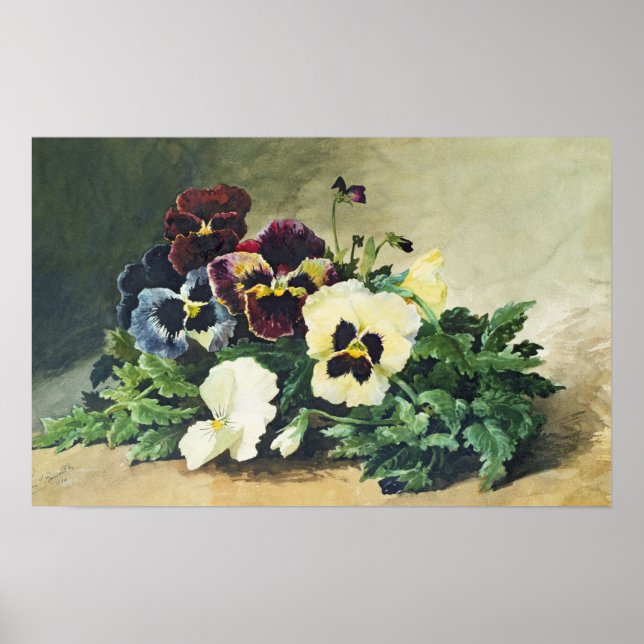 Winter Pansies, 1884 Poster (Framsidan)
