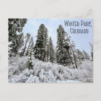 Winter Park, Colorado Postcard Vykort