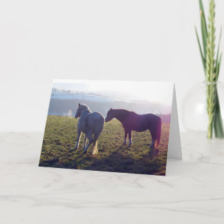 Winter pasture horse card kort