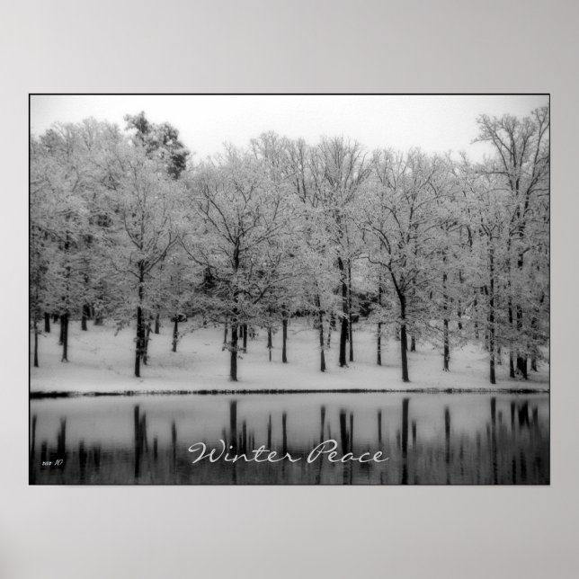 Winter Peace Poster (Framsidan)