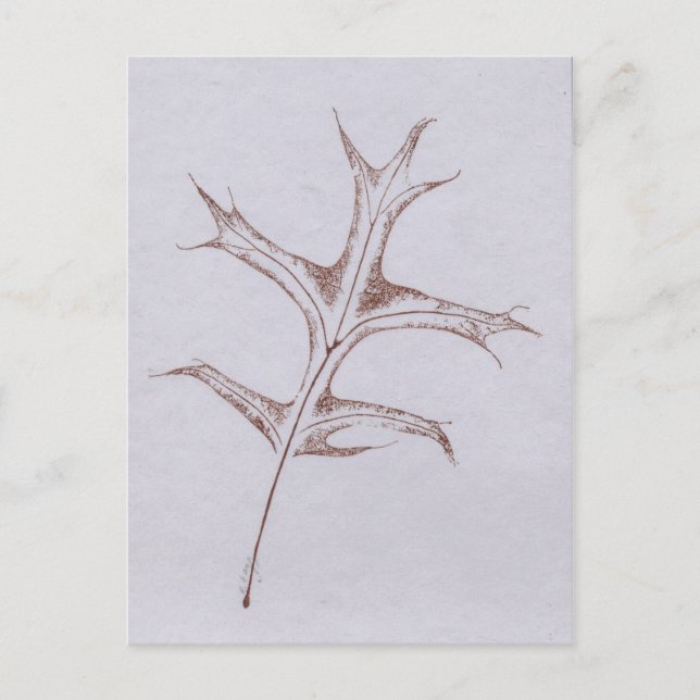 "Winter Pin Oak" Land-vykort Vykort (Framsida)