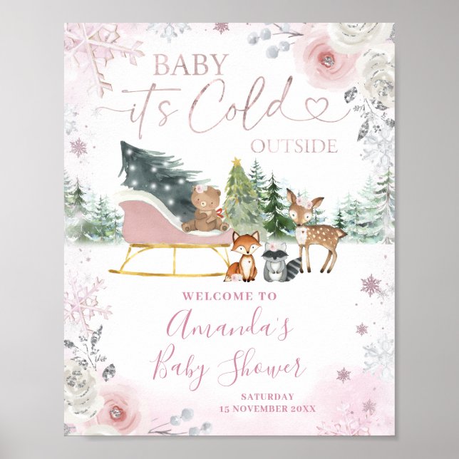 Winter Pink Snowflake Sleigh Baby Shower Welcome Poster (Framsidan)
