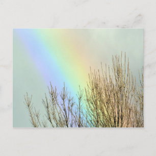Winter Rainbow Vykort