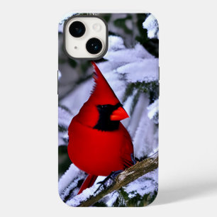 Winter Red Cardinal