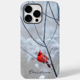 Winter Red Cardinal i Snö