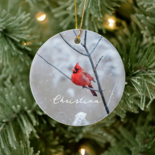 Winter Red Cardinal i Snö Julgransprydnad Keramik