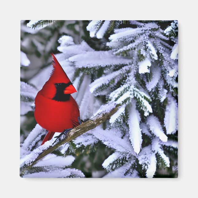 Winter Red Cardinal Magnet (Framsidan)